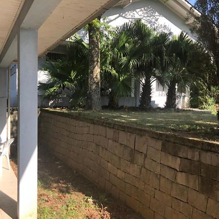 Casa No Meio Da Natureza! Daire Bento Gonçalves Dış mekan fotoğraf